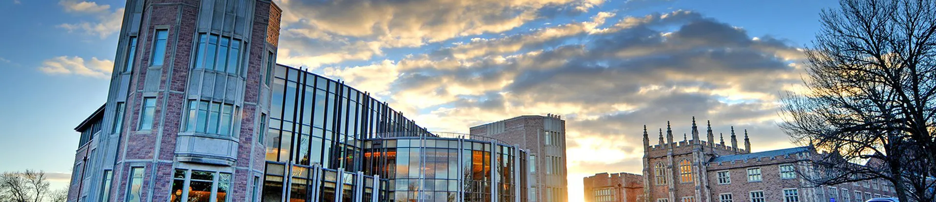 Washington Üniversitesi St. Louis Kampüsü