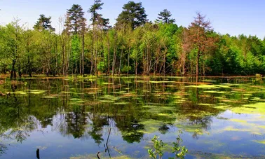 Yalova'da üniversite okumak ve öğrenci olmak!
