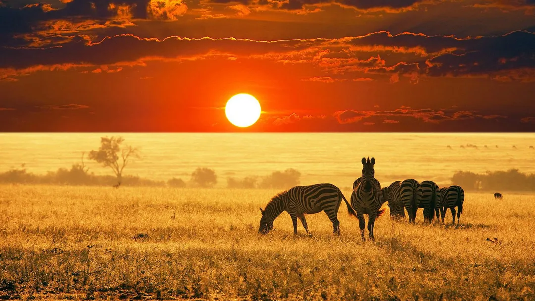 Interesting and Fun Facts about Africa