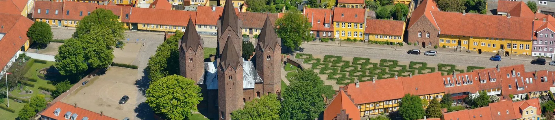 Absalon Üniversite Koleji