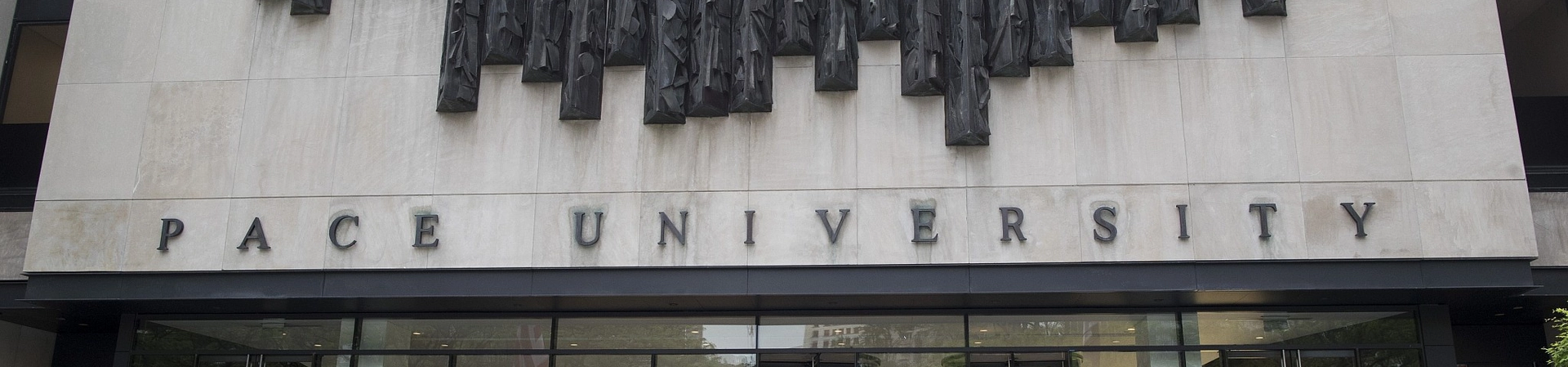 Pace University
