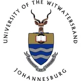 Witwatersrand Üniversitesi