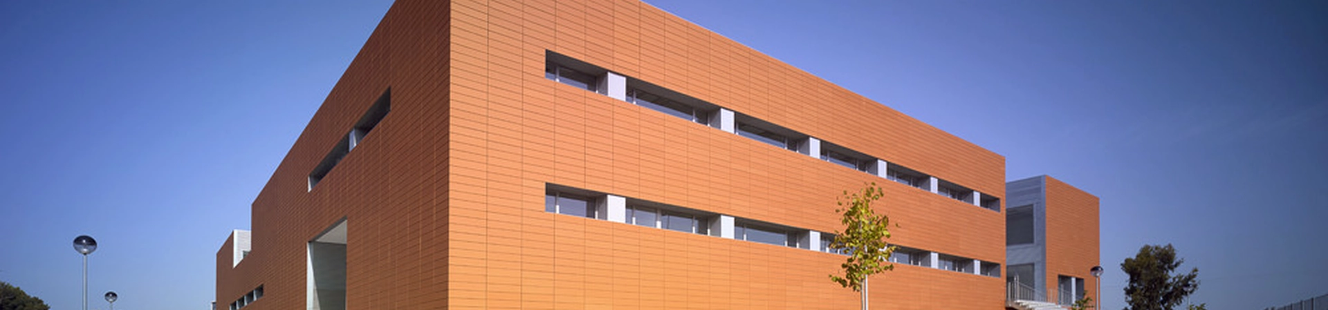 Extremadura Üniversitesi