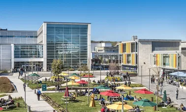 Özyeğin Üniversitesi Özyeğin Üniversitesi Öğrencilerine Ne Tür İmkanlar Sunuyor?