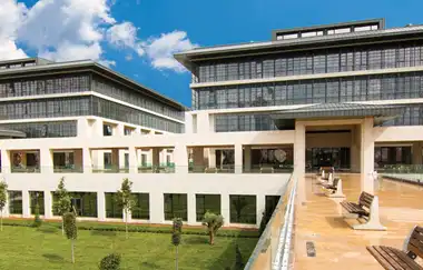 İstanbul 29 Mayıs Üniversitesi