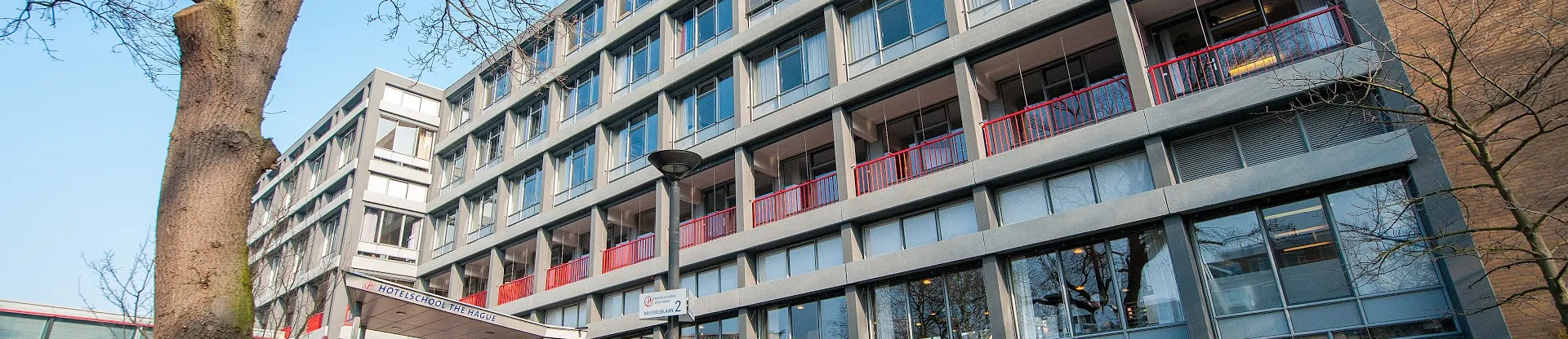 Hague Turizm Otelcilik İşletme Okulu