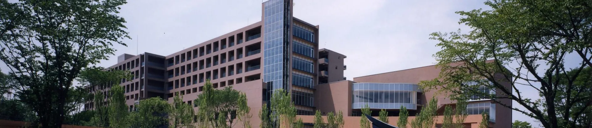 Tokyo Yabancı Çalışmalar Üniversitesi