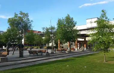 Mälardalen University