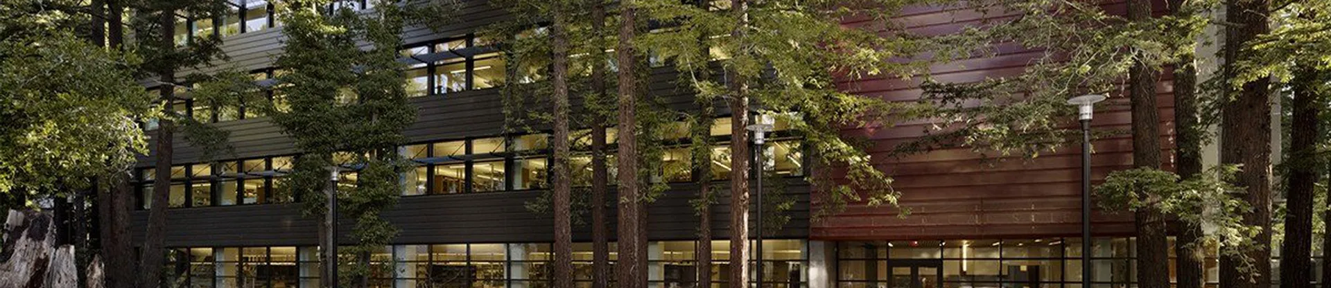 California Santa Cruz Üniversitesi