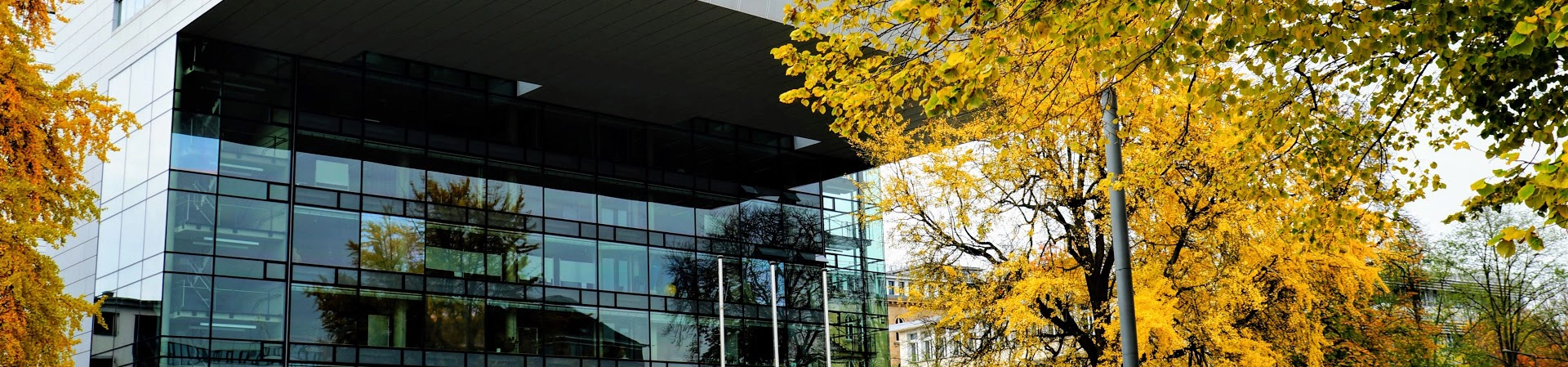 Rwth Aachen University