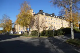 Lisans Kızıl Haç Üniversitesi Hemşirelik Koleji - İsveç