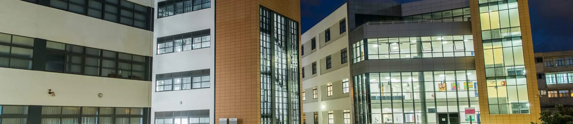 Malta Sanat Bilim ve Teknoloji  Koleji