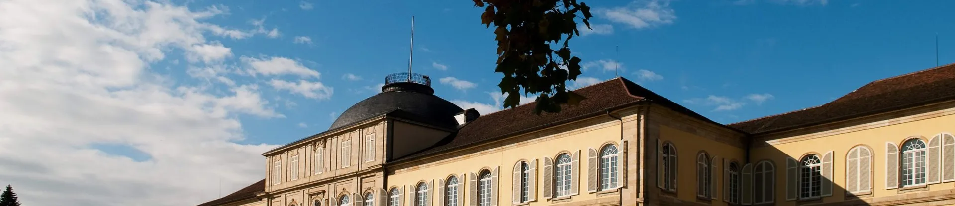 University of Hohenheim