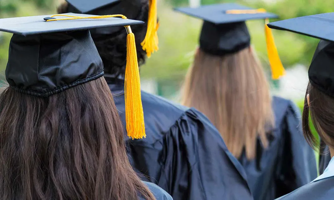 Bachelor Degree In Canada