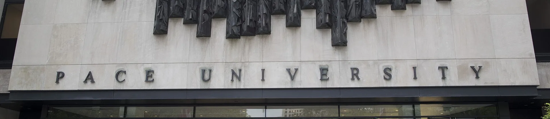 Pace Üniversitesi