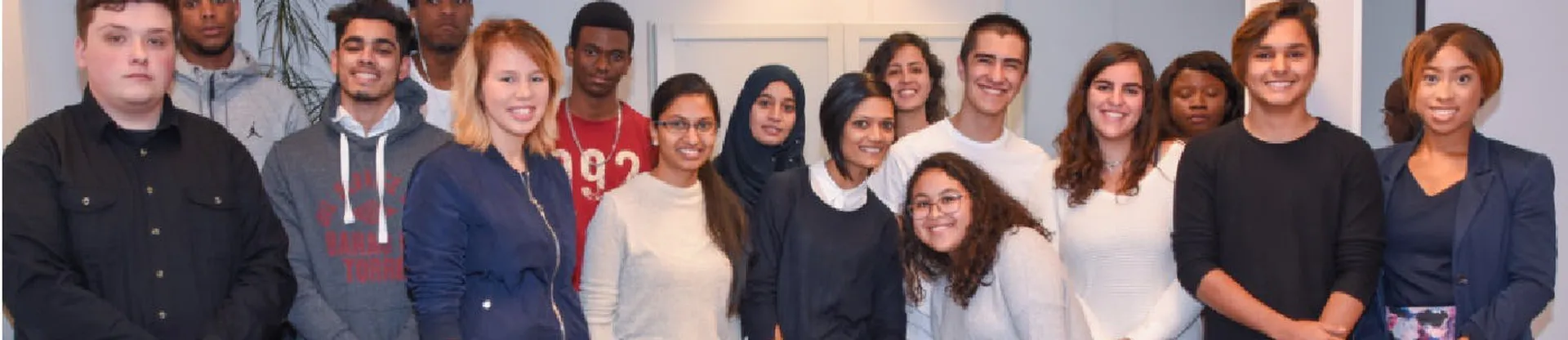 International Business School the Hague Netherlands