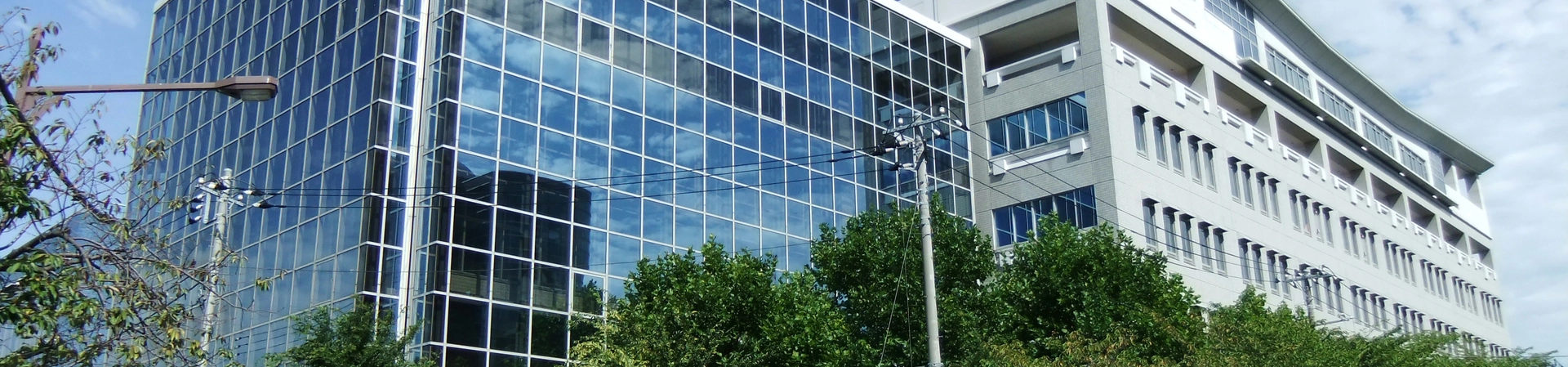 Tokyo Metropolitan Üniversitesi