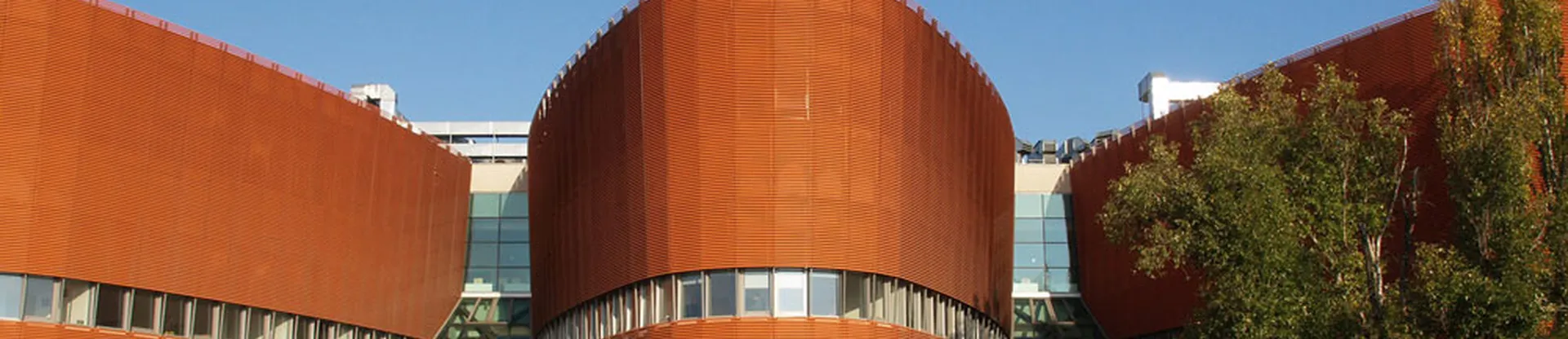 Warsaw Management University