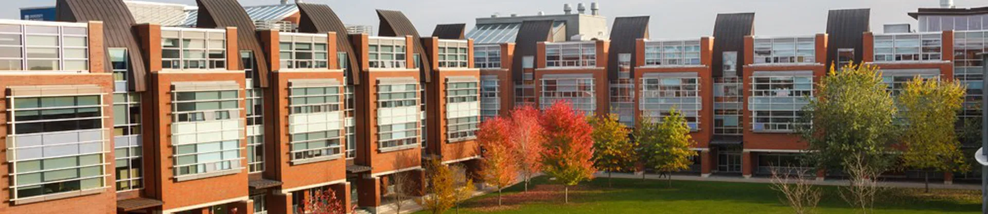 Ontario Teknoloji Üniversitesi