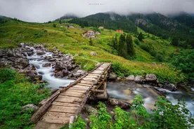 Bachelor Trabzon University - Turkey, Trabzon