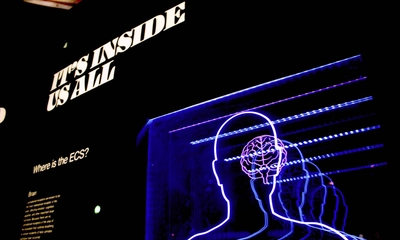 Elektronörofizyoloji Bölümü Nedir? Mezunları Ne İş Yapar?