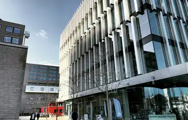 Rotterdam İşletme Fakültesi