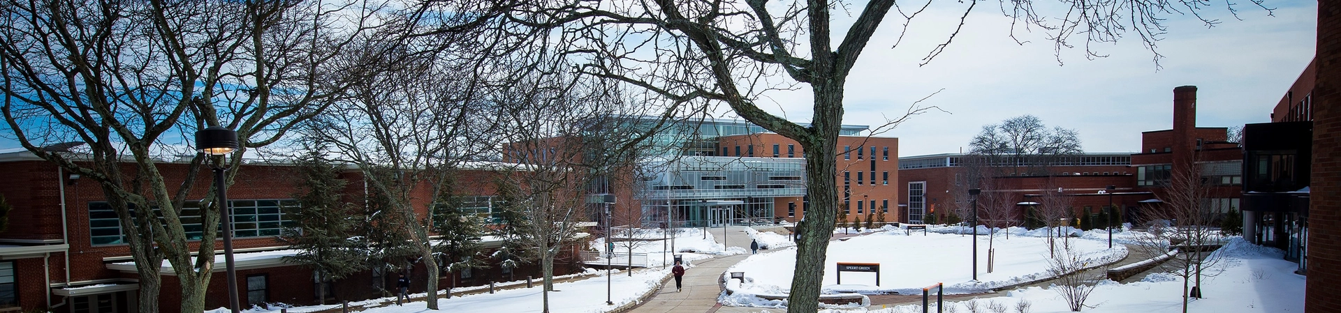 William Paterson Üniversitesi