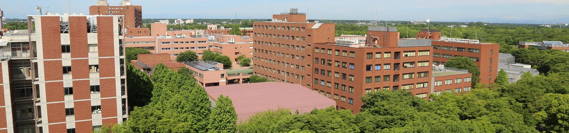 University of Tsukuba