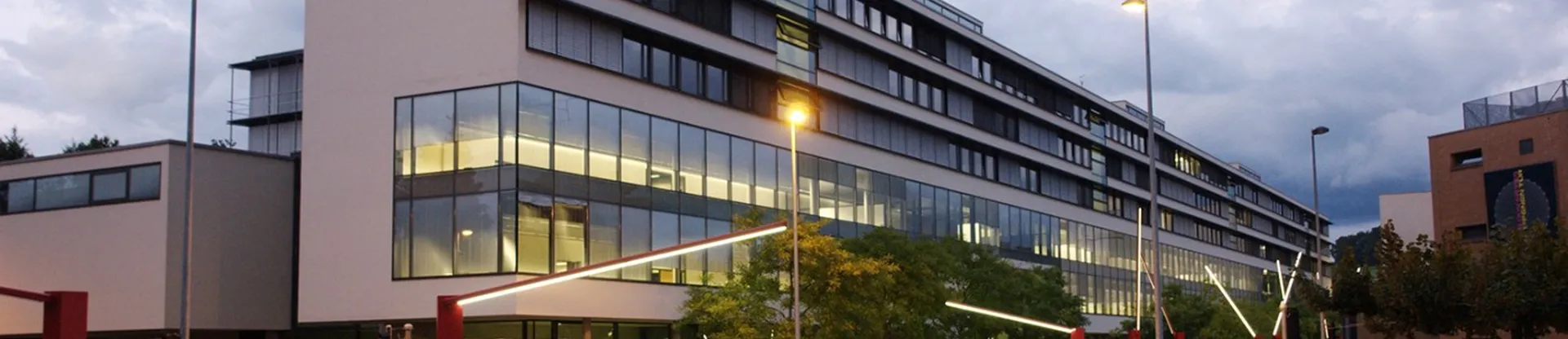 Fribourg Üniversitesi