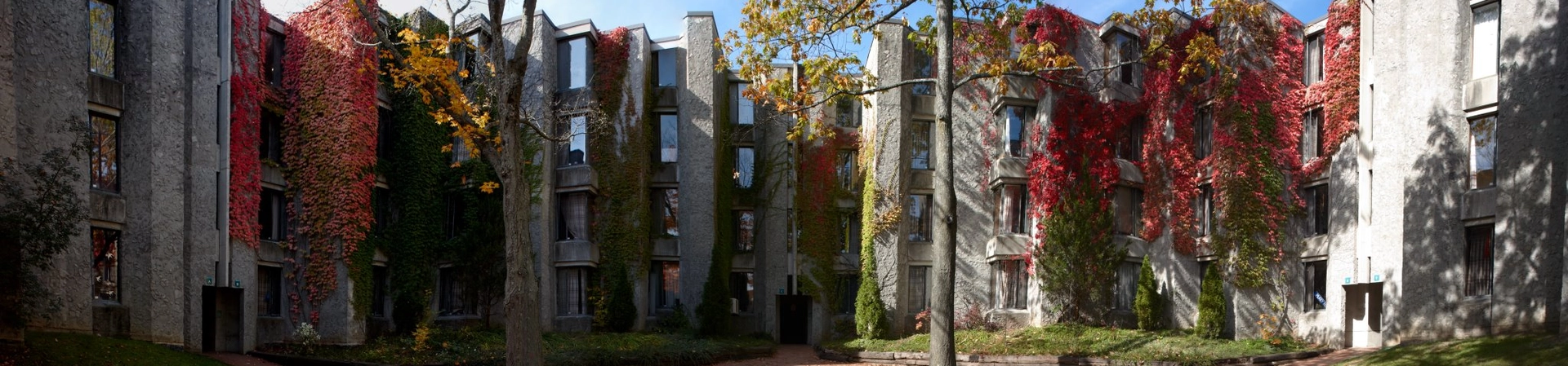 Trent Üniversitesi
