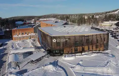 Dalarna University College