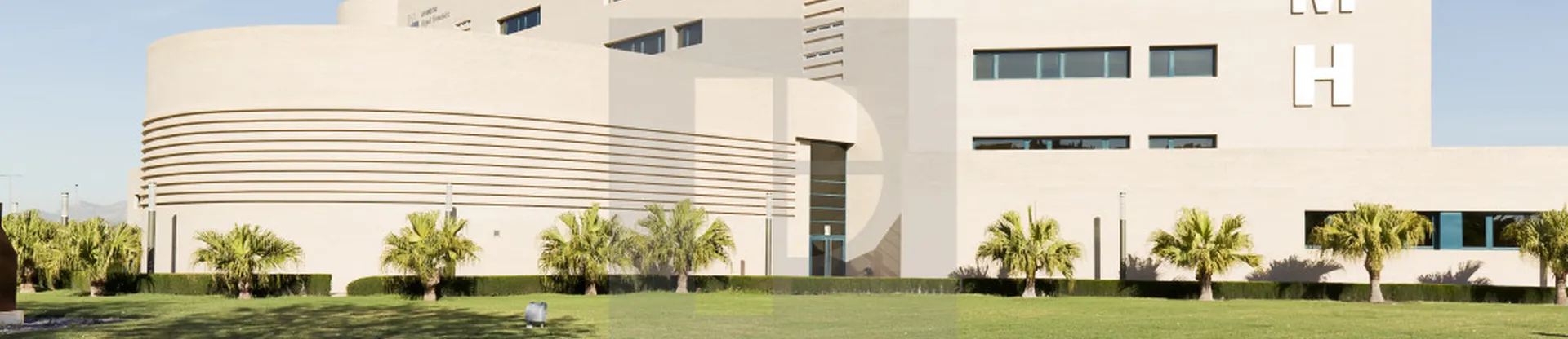 Miguel Hernndez University of Elche