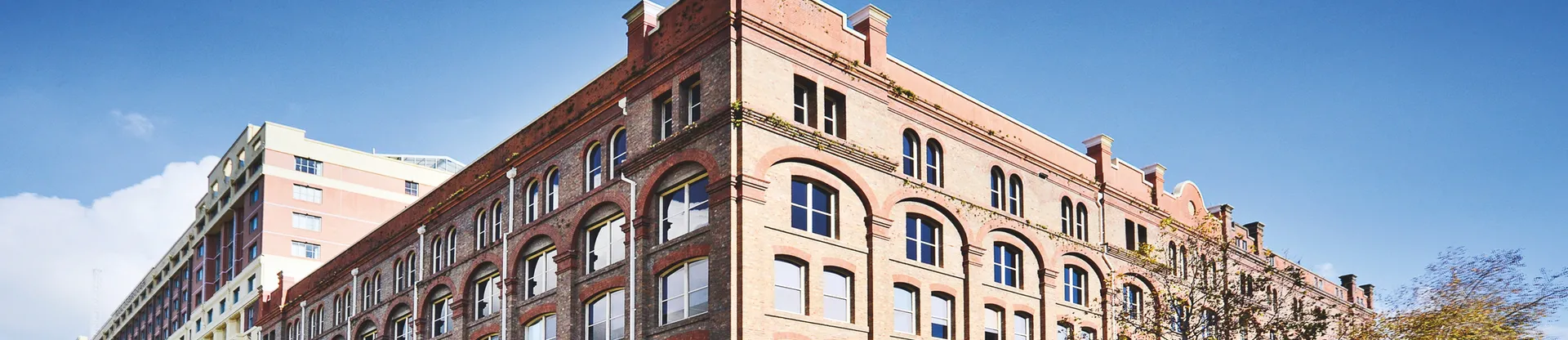 Avustralya Torrens Üniversitesi