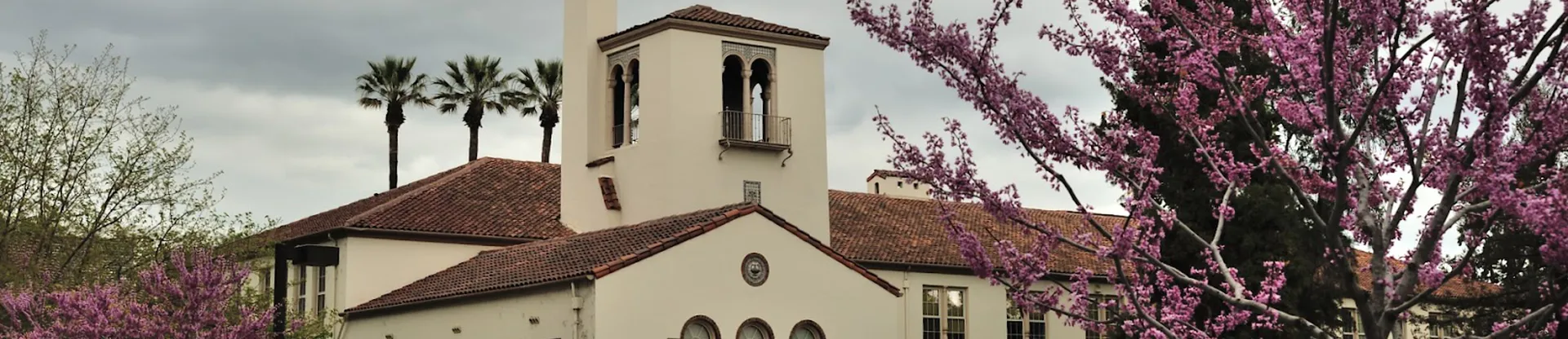 San José Eyalet Üniversitesi