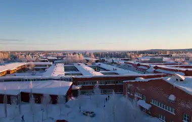 Lulea University of Technology