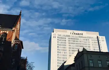 Berlin Charité Tıp Üniversitesi