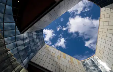 California Irvine Üniversitesi