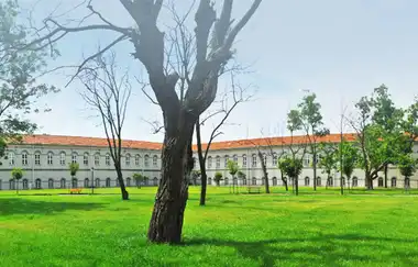 Yıldız Technical University