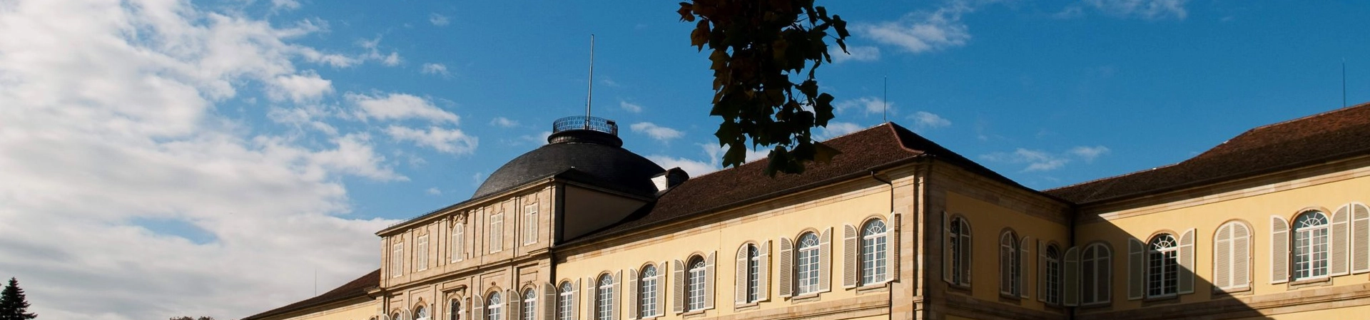University of Hohenheim