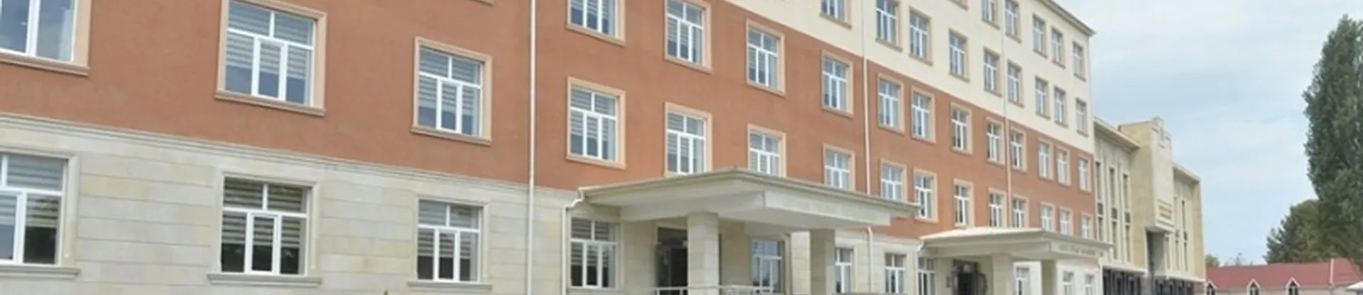 Lankaran State University