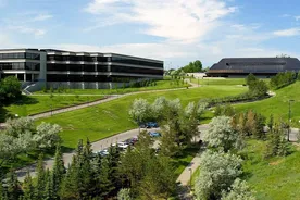 Lethbridge Üniversitesi