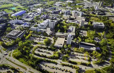 Calgary Üniversitesi