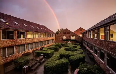 Aarhus Üniversitesi