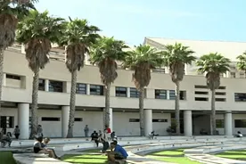 Bachelor University of Alicante