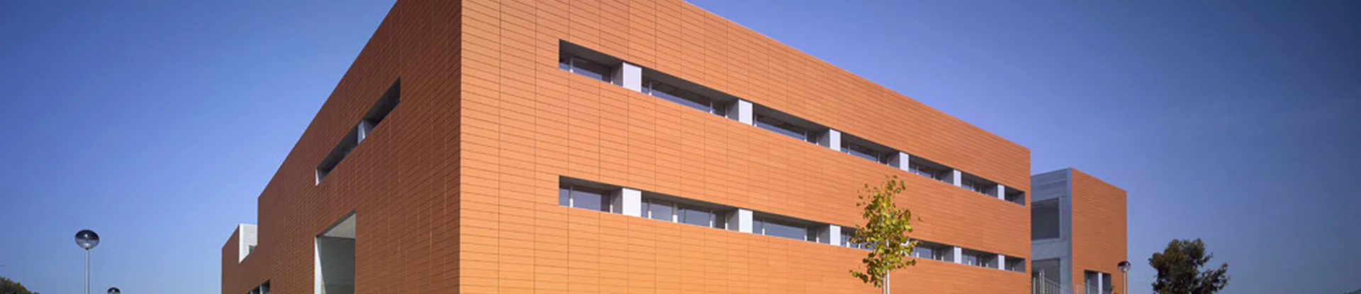 Extremadura Üniversitesi