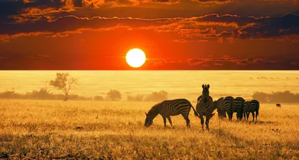 Interesting and Fun Facts about Africa