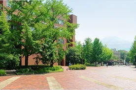 Bachelor Kyoto Institute of Technology