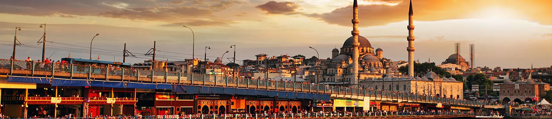 Demiroğlu Bilim University