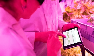 Gıda Mühendisliği Maaşları en yüksek -en düşük ne kadardır?