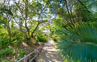 Central Queensland University
